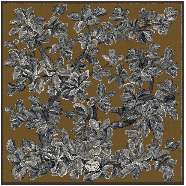 Inoui Editions vilnos skara ARBORIS BROWN